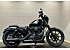 2007 Harley-Davidson Sportster