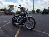 2007 Harley-Davidson Sportster