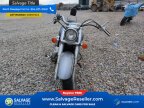 Thumbnail Photo 3 for New 2007 Honda Shadow
