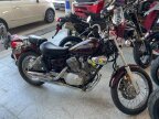 Thumbnail Photo 2 for 2007 Yamaha Virago 250