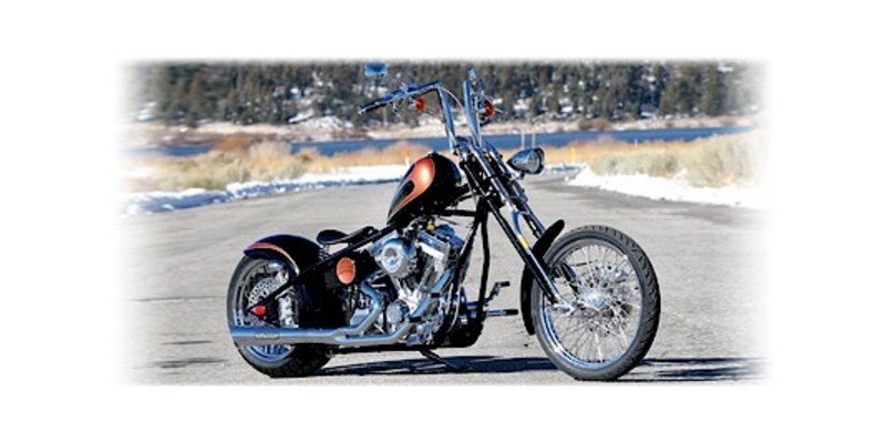 2008 Big Bear Screamin Demon Base specifications