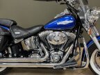 Thumbnail Photo 1 for 2008 Harley-Davidson Softail