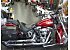 2008 Harley-Davidson Softail