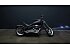 2008 Harley-Davidson Softail