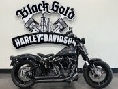 2008 Harley-Davidson Softail