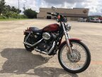 Thumbnail Photo 3 for 2008 Harley-Davidson Sportster