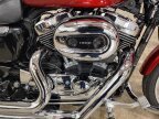Thumbnail Photo 1 for 2008 Harley-Davidson Sportster