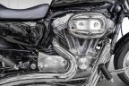 Thumbnail Photo 1 for 2008 Harley-Davidson Sportster