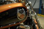 Thumbnail Photo 4 for 2008 Harley-Davidson Sportster 1200 Custom Anniversary for Sale by Owner