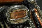 Thumbnail Photo 5 for 2008 Harley-Davidson Sportster 1200 Custom Anniversary for Sale by Owner