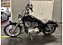 2008 Harley-Davidson Sportster 883 Custom