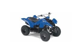 2008 Yamaha Raptor 125 50 specifications