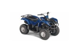 2008 Yamaha Raptor 125 80 specifications