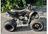 2009 Can-Am DS 90 X