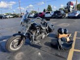 2009 Harley-Davidson Dyna Fat Bob
