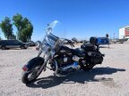 Thumbnail Photo 6 for 2009 Harley-Davidson Softail