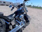 Thumbnail Photo 1 for 2009 Harley-Davidson Softail