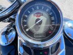 Thumbnail Photo 2 for 2009 Harley-Davidson Softail