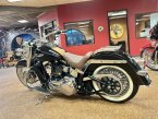 Thumbnail Photo 5 for 2009 Harley-Davidson Softail