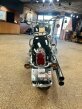 Thumbnail Photo 6 for 2009 Harley-Davidson Softail