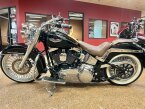 Thumbnail Photo 4 for 2009 Harley-Davidson Softail