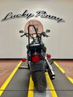 Thumbnail Photo 6 for 2009 Harley-Davidson Softail