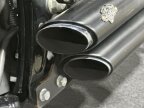 Thumbnail Photo 6 for 2009 Harley-Davidson Softail
