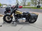 Thumbnail Photo 6 for 2009 Harley-Davidson Softail