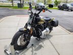 Thumbnail Photo 4 for 2009 Harley-Davidson Softail