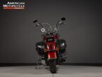 Thumbnail Photo 4 for 2009 Harley-Davidson Softail
