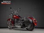 Thumbnail Photo 4 for 2009 Harley-Davidson Softail
