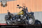 Thumbnail Photo 4 for 2009 Harley-Davidson Softail