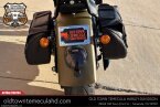 Thumbnail Photo 6 for 2009 Harley-Davidson Softail
