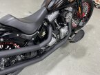 Thumbnail Photo 6 for 2009 Harley-Davidson Softail