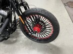 Thumbnail Photo 3 for 2009 Harley-Davidson Softail