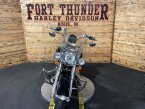 Thumbnail Photo 3 for 2009 Harley-Davidson Softail