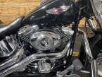 Thumbnail Photo 1 for 2009 Harley-Davidson Softail