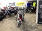 Thumbnail Photo 1 for 2009 Harley-Davidson Softail