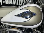 Thumbnail Photo 4 for 2009 Harley-Davidson Softail