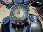 Thumbnail Photo 6 for 2009 Harley-Davidson Softail