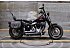 2009 Harley-Davidson Softail