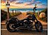 2009 Harley-Davidson Softail Cross Bones