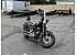 2009 Harley-Davidson Softail