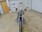 Thumbnail Photo 3 for 2009 Harley-Davidson Sportster