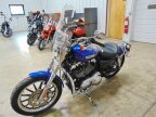 Thumbnail Photo 4 for 2009 Harley-Davidson Sportster