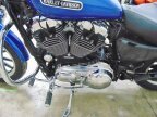 Thumbnail Photo 6 for 2009 Harley-Davidson Sportster