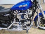 Thumbnail Photo 1 for 2009 Harley-Davidson Sportster