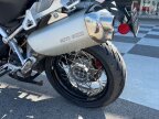Thumbnail Photo 4 for 2009 Moto Guzzi Stelvio