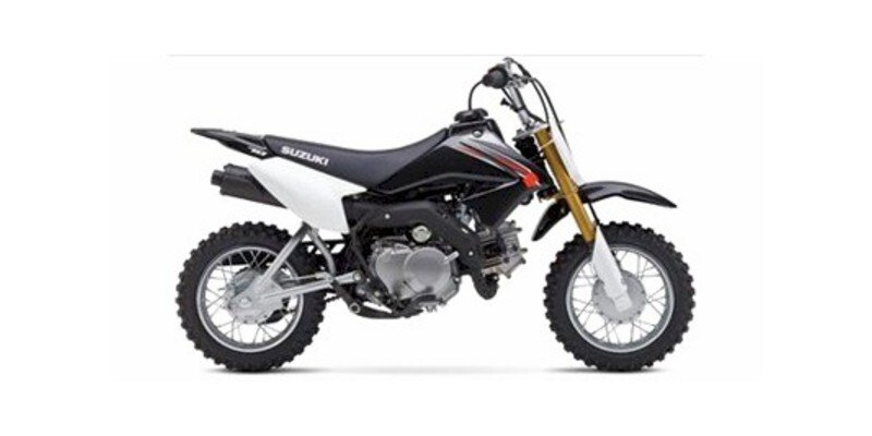 2009 Suzuki DR-Z110 70 specifications