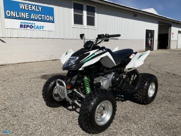 2010 Arctic Cat DVX 300